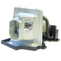 ACER EC.J2101.001 Lampa sa modulom