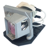ACER EC.K0100.001 Lampa sa modulom