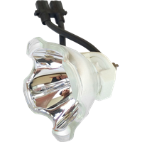 INFOCUS C445 Lampa bez modula