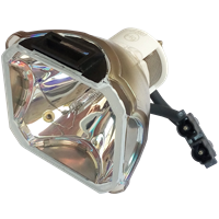 INFOCUS C460 Lampa bez modula