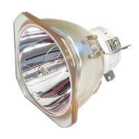 NEC NP42LP (100014502) Lampa bez modula