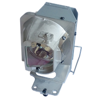 OPTOMA BL-FP220B (SP.78B01GC01) Lampa sa modulom