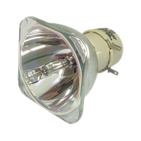 PHILIPS-UHP 200/170W 0.8 E20.9 Lampa bez modula