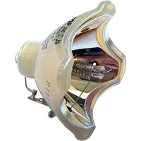 PHILIPS-UHP 200/150W 1.0 P19.5 Lampa bez modula