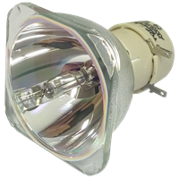 PHILIPS-UHP 260/220W 1.0 E20.9 Lampa bez modula