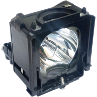 SAMSUNG HL-S6165W Lampa sa modulom