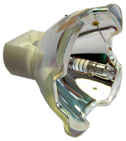 VIEWSONIC PJ862 Lampa sa modulom